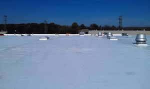 Sardo Roofing Project